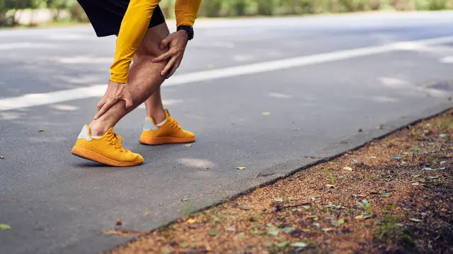 Tendon Adalah Jaringan Ikat yang Mengikat Otot pada Tulang, Ketahui Fungsinya