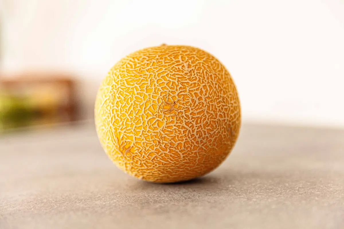 Ilustrasi Melon