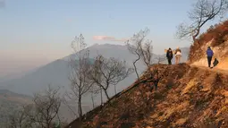 Sisa kebakaran masih terlihat jelas disisi jalur pendakian menuju kawah Gunung Ijen, Jawa Timur (20/10/2014). (Liputan6.com/Helmi Fithriansyah)