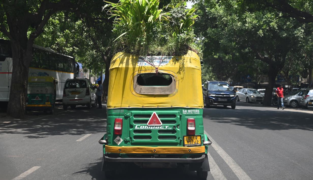 <p>Pengemudi bajaj Mahender Kumar mengendarai kendaraan dengan 'taman' di atapnya, di New Delhi, India pada 2 Mei 2022. Bajaj kuning dan hijau ada di mana-mana di jalan-jalan New Delhi tetapi kendaraan Mahendra Kumar sangat menonjol -- ia memiliki taman di atapnya bertujuan untuk menjaga penumpang tetap sejuk selama musim panas yang menyengat. (Money SHARMA / AFP)</p>