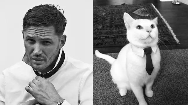 Studi: Pria yang Suka Berfoto dengan Kucingnya Cenderung Sulit Dapat