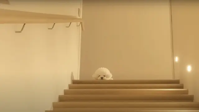 Estetik dan Cantik, 5 Potret Rumah Mewah Song Hye Kyo di Kawasan Elit Korea (credit: YouTube/Kyang Ming Kyung).