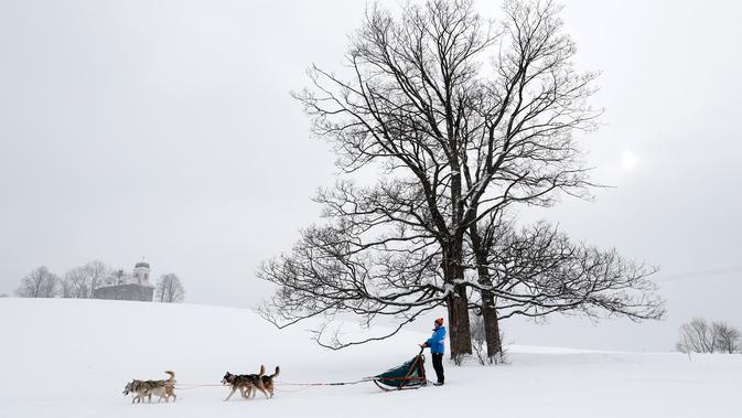 Pengemudi kereta luncur anjing menembus salju saat mengikuti lomba Sedivackuv Long di Destne v Orlicky Horach, Republik Ceko, Jumat (25/1). Cuaca buruk menyebabkan sekitar setengah dari 100 pebalap menyerah. (AP Photo/Petr David Josek)