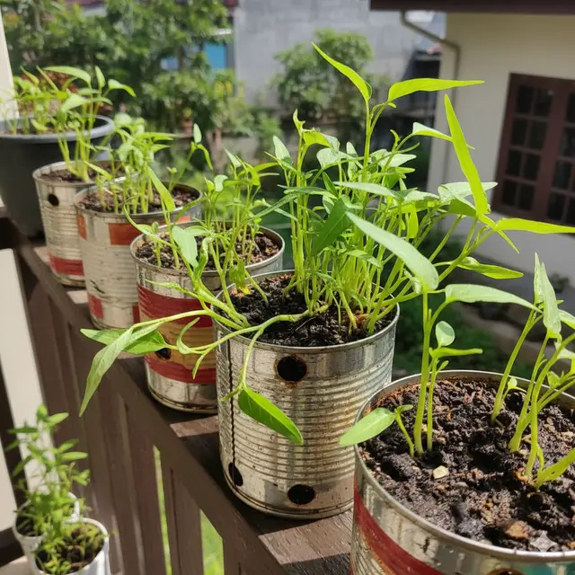 Jenis Sayuran yang Bisa Ditanam di Kaleng Bekas (Foto: Gemini AI)