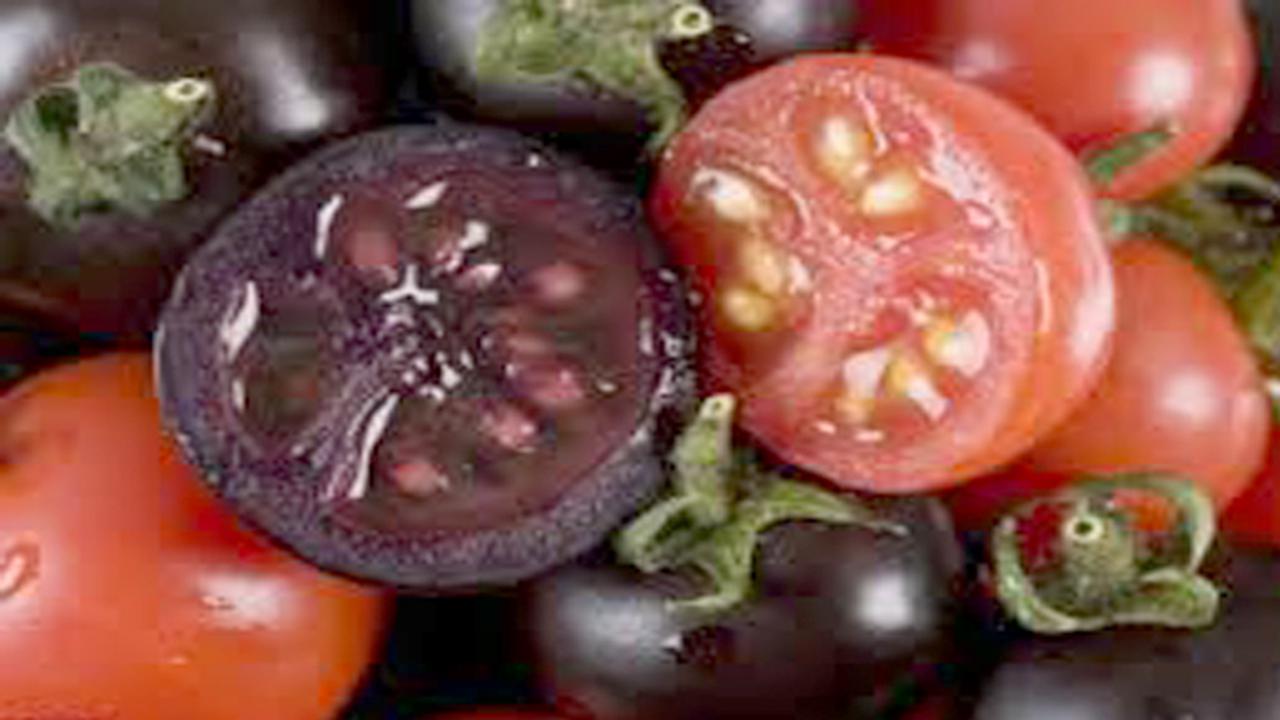 6 Jenis Buah Aneh Hasil Rekayasa Genetika 