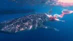 Ria Ricis memiliki hobi snorkeling saat berlibur di destinasi wisata bahari. Menyelam dengan mengenakan perlengkapan layaknya putri duyung kerap ia lakukan. Momen saat snorkeling dan bertemu paus pun menjadi momen berkesan bagi perempuan berusia 26 tahun. (Liputan6.com/IG/@riaricis1795)