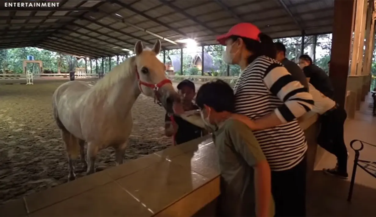 Kuda baru Nagita Slavina (Youtube/ Rans Entertainment)