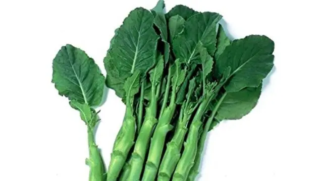 11 Manfaat Sayur Kailan yang Tak Disangka-sangka