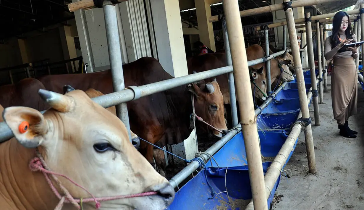 Jangan takut konsumsi daging sapi dan daging kambing meski Anda sedang berdiet (Liputan6.com/Miftahul Hayat)