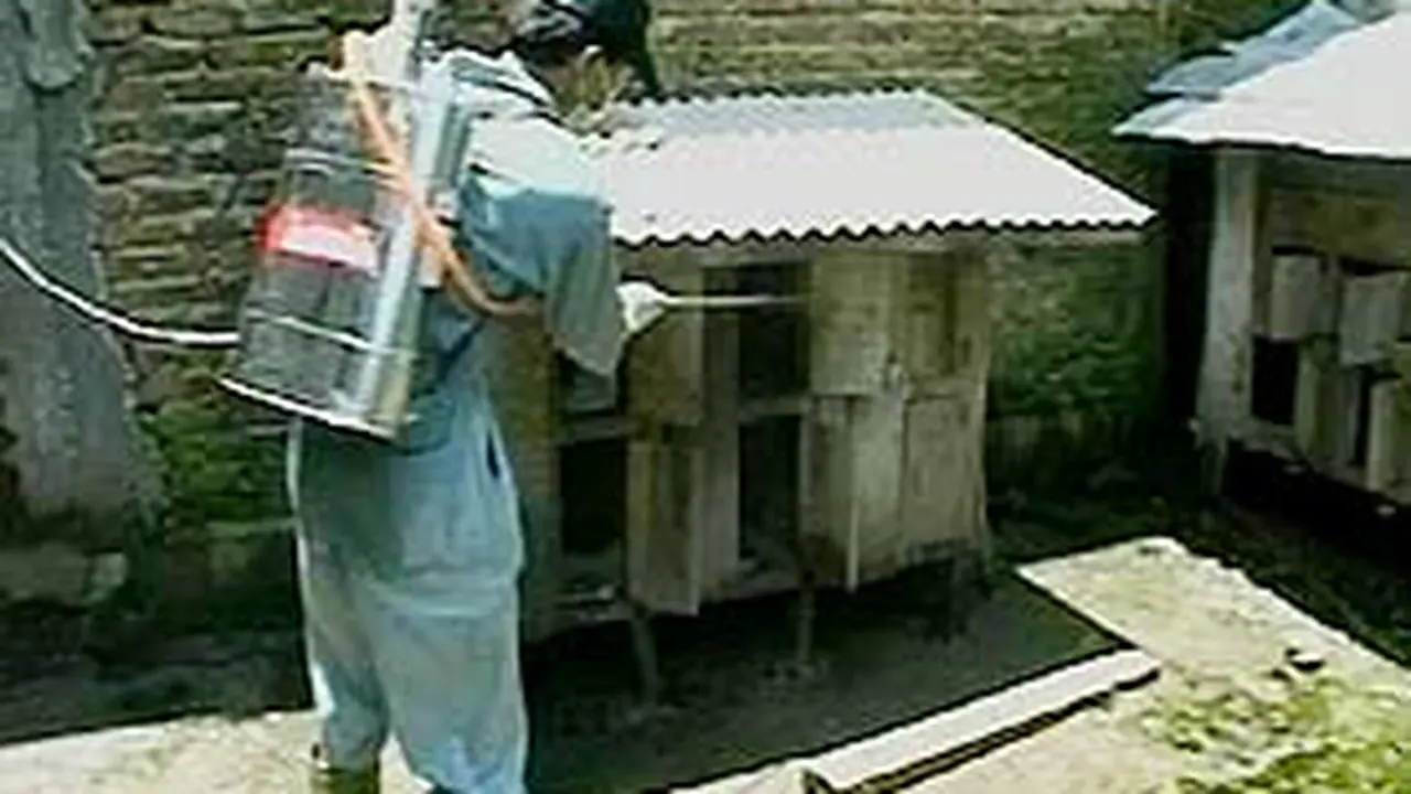 200206aflubrg.jpg