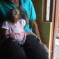 Bapak angkat Unyu sempat diminta polisi untuk menyerahkan si bayi orangutan, tapi ditolak. (Liputan6.com/Raden AMP)