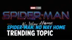 vertical spiderman