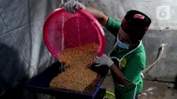 Seorang santri menyelesaikan pembuatan tempe di Pondok Pesantren Sirajussa'adah, Depok, Jawa Barat, Selasa (23/3/3021). Tempe Santri dijual dengan harga Rp 6.000 per bungkus. (merdeka.com/Arie Basuki)