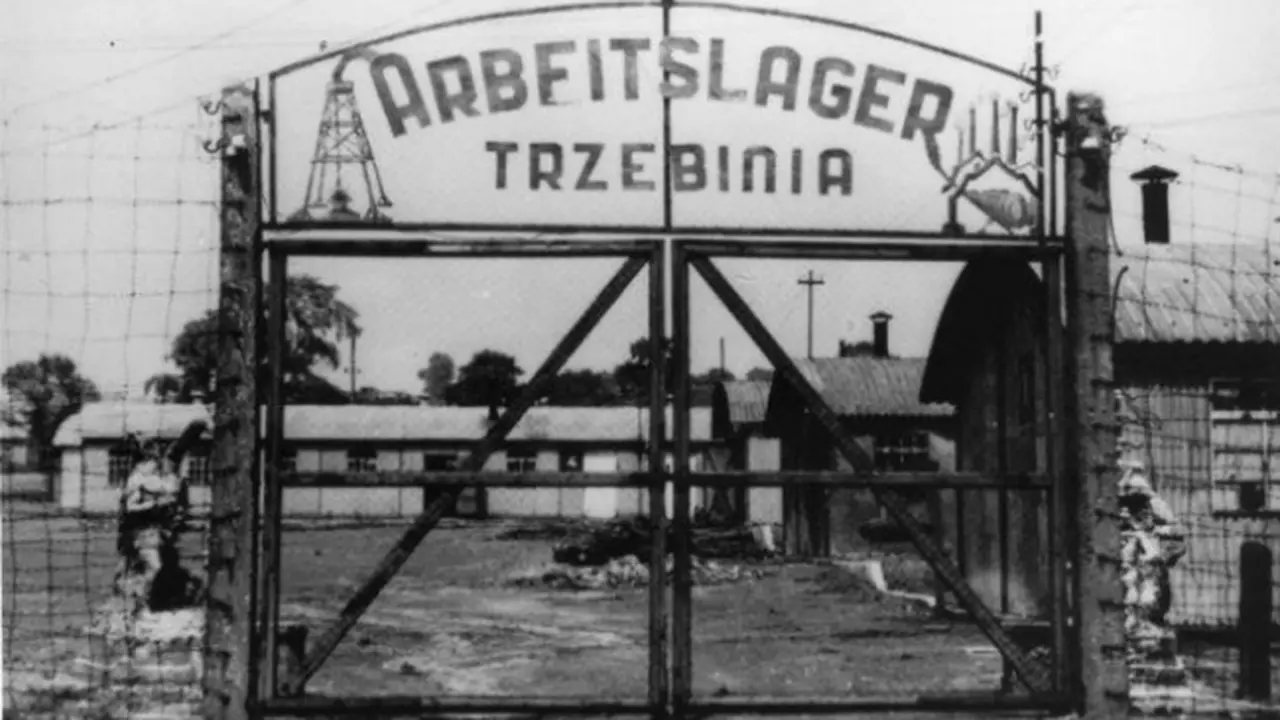 Auschwitz (5)