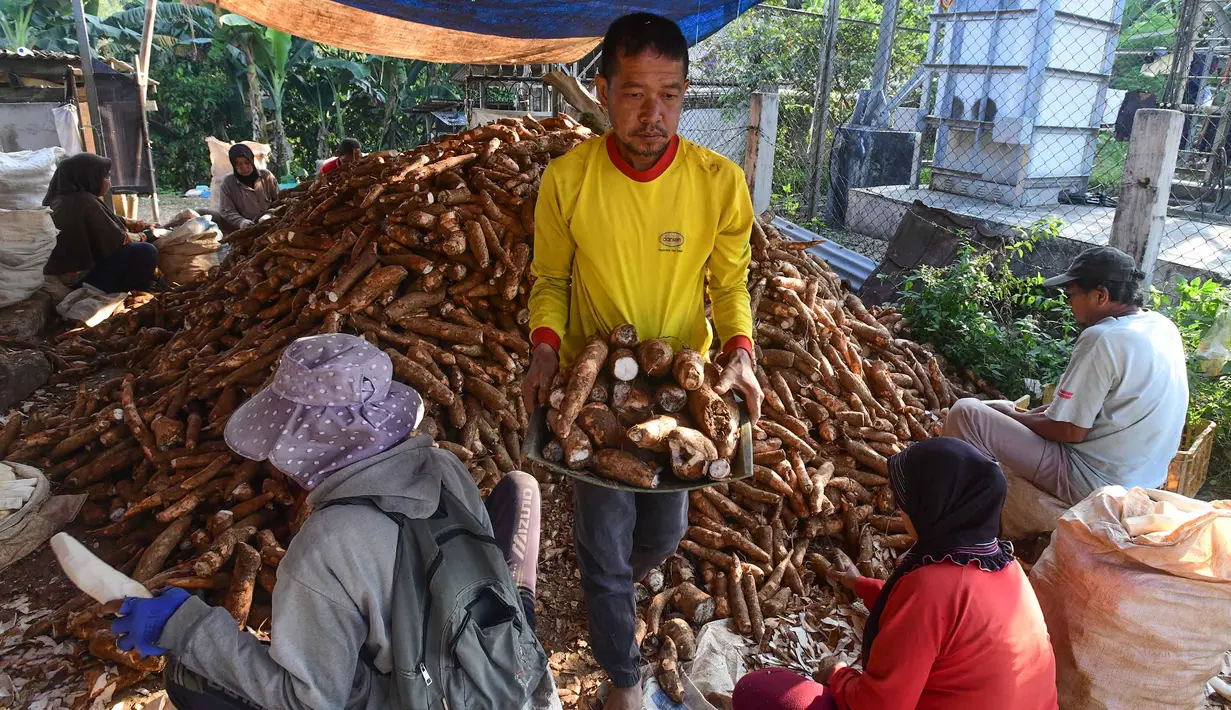 Pekerja mengolah singkong di sentra pengolahan bahan baku makanan ringan di Ciampea, Kabupaten Bogor, Jawa Barat, Minggu (26/7/2026).  (KLY/ Arie Basuki)
