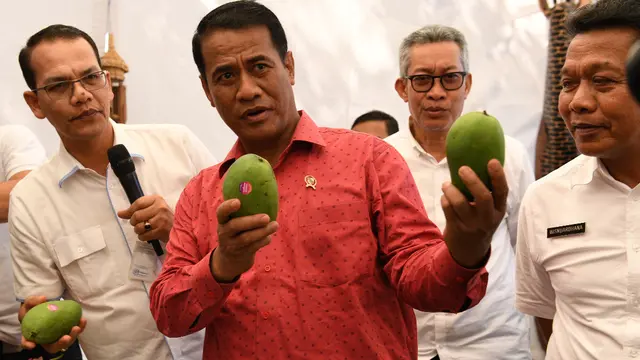 Kementan Ekspor 10 Ton Pisang Pontianak Ke Malaysia