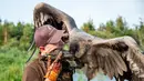 Peter Wenzel melatih burung condor muda bernama Molina di Eagle Reserve, Bindslev, Denmark, 27 Agustus 2019. Condor bisa memiliki lebar sayap 3,5 meter dan berat 15 Kg. (Henning Bagger/Ritzau Scanpix/AFP)