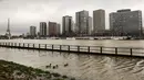 Bebek terlihat di tepi sungai Seine yang banjir di dekat menara Eiffel dan distrik Beaugrenelle, Paris (23/1). Tingkat sungai Seine naik ke ketinggian 4.57 meter (15 kaki), beberapa meter lebih tinggi dari tingkat normalnya. (AFP Photo/Ludovic Marin)