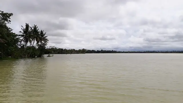 Banjir merendam ribuan hektare tanaman padi di CIlacap, Jawa Tengah. (Foto: Liputan6.com/Muhamad Ridlo)