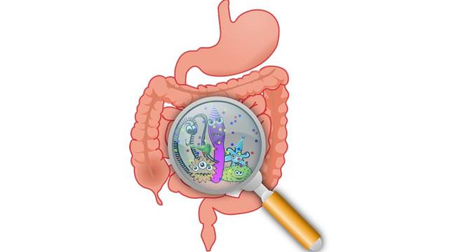 Infeksi E. coli, Penyebab, Gejala, hingga Pencegahannya