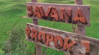 Bukit Propok di Taman Nasional Gunung Rinjani, Nusa Tenggara Barat. (dok. Instagram @lalotourlombok/https://www.instagram.com/p/B9QAZzBp40v/)