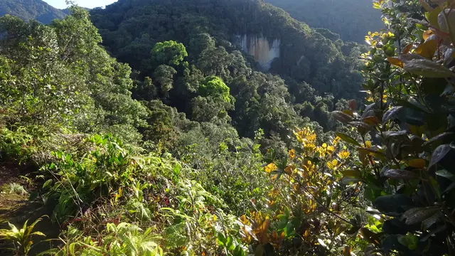 Gunung Batu Putih di Perak Malaysia. (Dok: Gunung Bagging https://www.gunungbagging.com/batu-putih/nggallery/page/3)