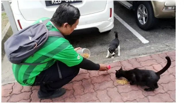 Bikin Haru, Pria Ini Rela Kerja Part Time Demi Biayai Kucing Jalanan