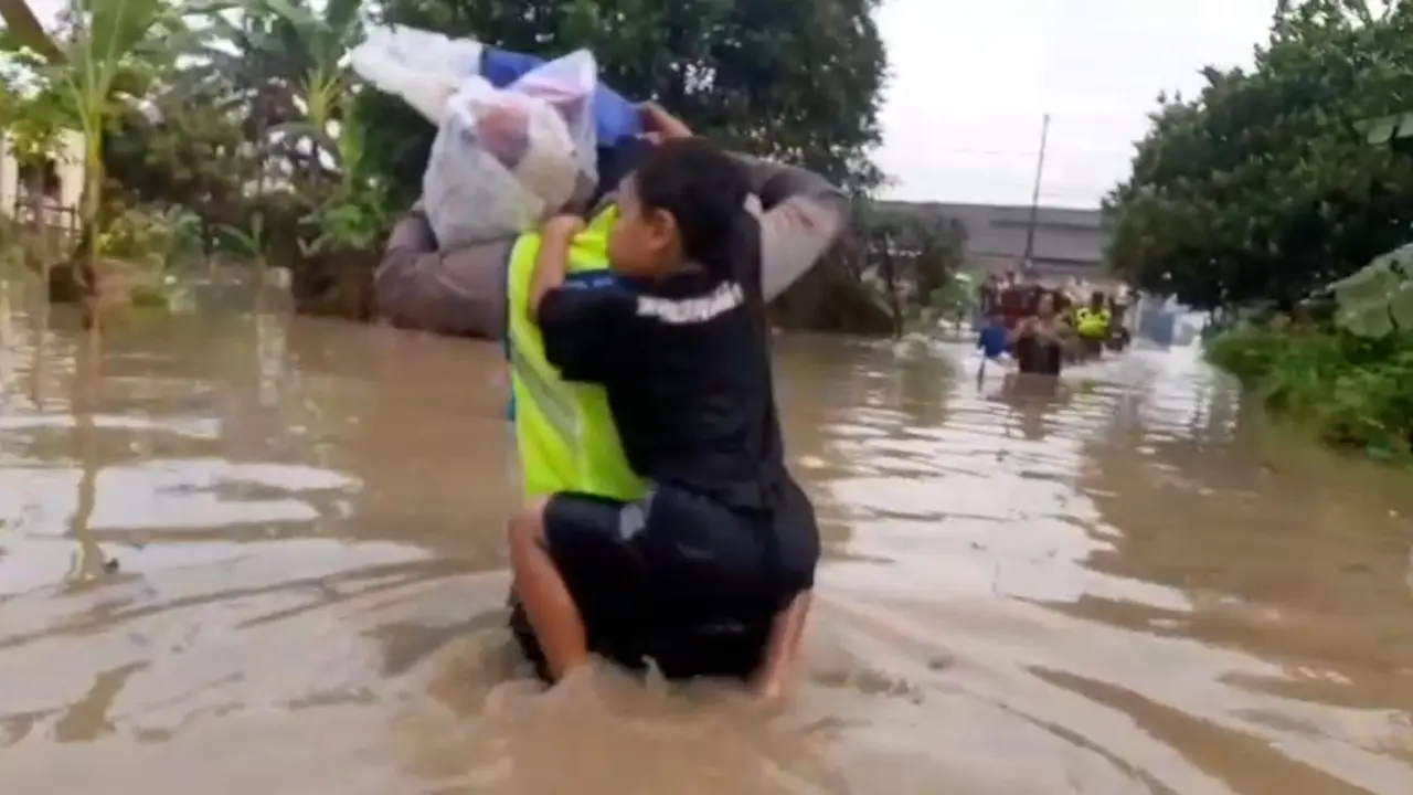 Geger Kemunculan Buaya saat Banjir di Pemalang Bikin Warga Takut