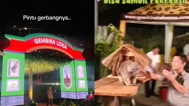 Nikah di Kebun Binatang