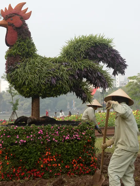 Pekerja menyelesaikan pekerjaannya di salah satu taman di Hanoi, Vietnam, Rabu (25/1). Perayaan Imlek di Vietnam menjadi salah satu perayaan yang sangat penting. (AFP PHOTO / Hoang DINH NAM)