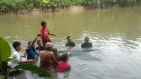 Seekor hiu paus terdampar di dalam Sungai Kecil di Kota Kendari, Sabtu (2/1/2021).(Liputan6.com/Ahmad Akbar Fua)