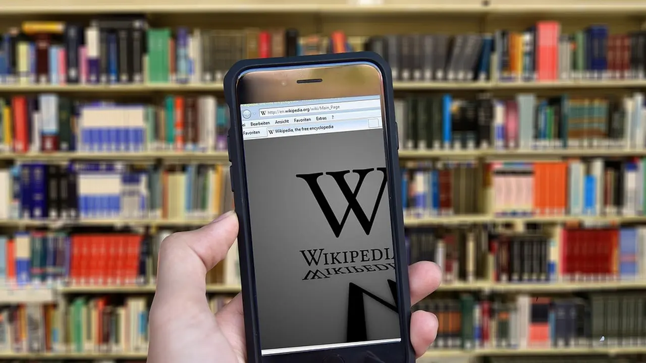 Ilustrasi Wikipedia (Pixabay)