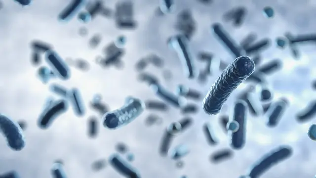 Ilustrasi bakteri (Foto Dok: Freepik/black13kira)