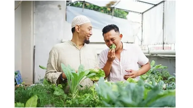 Chef Haryo juga memiliki kebun kecil untuk menanam sayuran dengan menggunakan metode hidroponik.