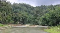 Air sungai Batang Buat mengalir di sekitar Hutan Lindung Bujang Raba, Kabupaten Bungo, Jambi. Kondisi hutan yang zero deforestasion itu masyarakat di lima mendapatkan dana karbon senilai Rp1 miliar. (Liputan6.com / dok KKI Warsi/ Gresi Plasmanto)