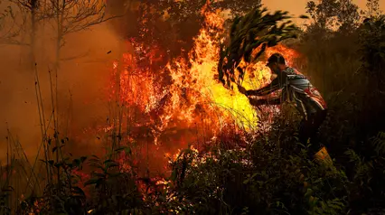Potret Kabut Asap Karhutla Kepung Sumatra dan Kalimantan