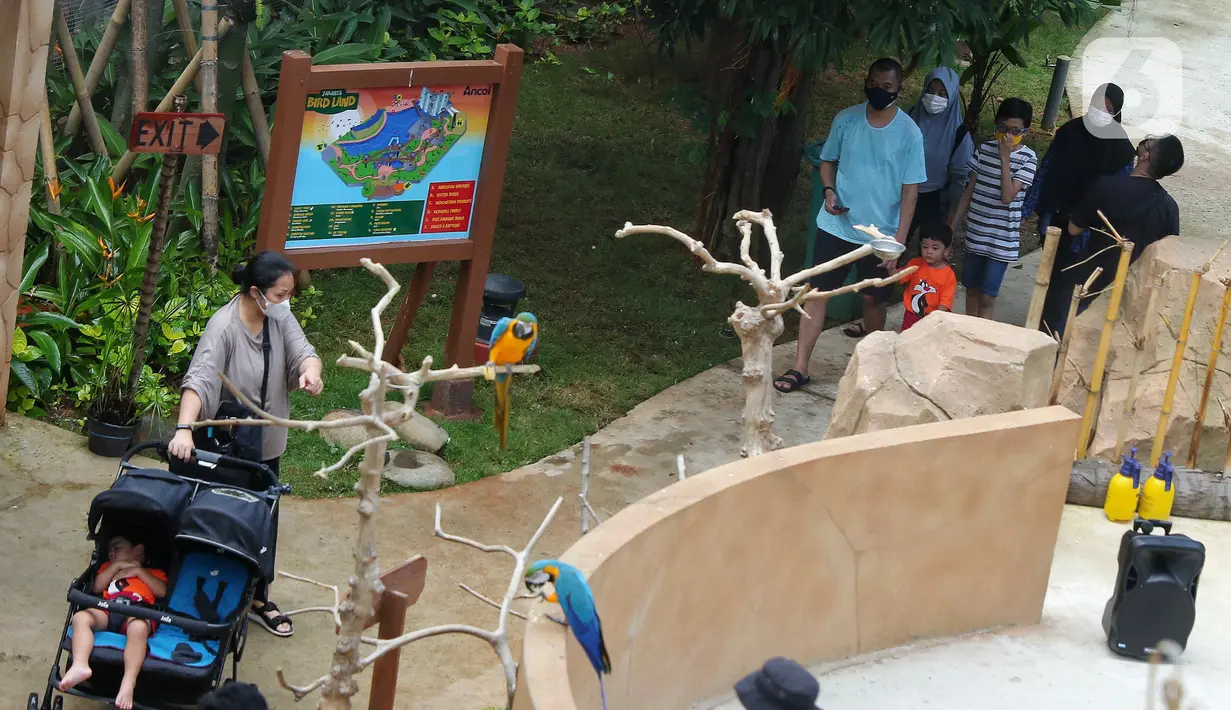 Wisatawan melihat burung di tempat wisata kawasan Ancol, Jakarta, Minggu (8/1/2023). Saat ini kinerja sektor pariwisata dan ekonomi kreatif pada 2023 dihadapkan dengan target yang cukup tinggi. Kunjungan wisman diharapkan mencapai angka 7,4 juta dan wisatawan nusantara mencapai 1,2-1,4 miliar pergerakan. (Liputan6.com/Angga Yuniar)