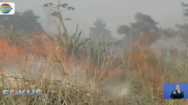 Kemarau Panjang Sebabkan Kebakaran di Kaki Gunung Guntur