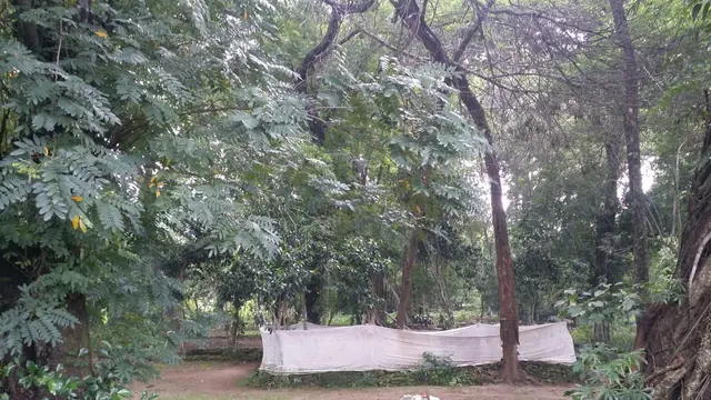 Kerajaan Jipang