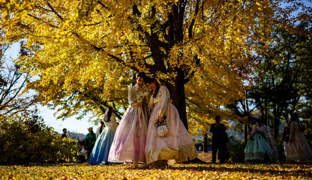 Pengunjung mengenakan pakaian tradisional Hanbok berpose untuk swafoto di bawah pohon gingko dengan dedaunan musim gugur di halaman Istana Gyeongbokgung di Seoul pada tanggal 2 November 2023. (ANTHONY WALLACE/AFP)