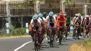 165 pebalap dari 16 tim mulai berlomba di ajang Tour De Banyuwangi Ijen di Banyuwangi, Jawa Timur, (16/10/2014). (Liputan6.com/Helmi Fithriansyah)