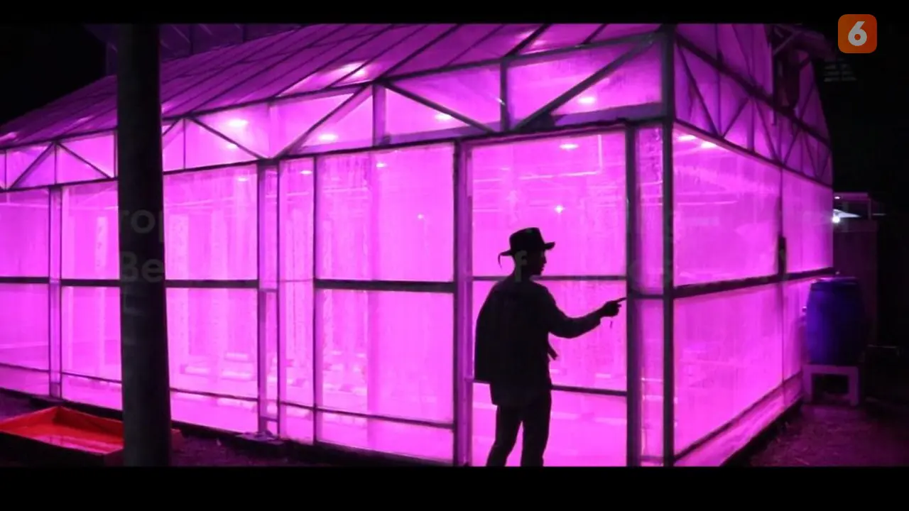 Urban Farming atau pertanian di perkotaan