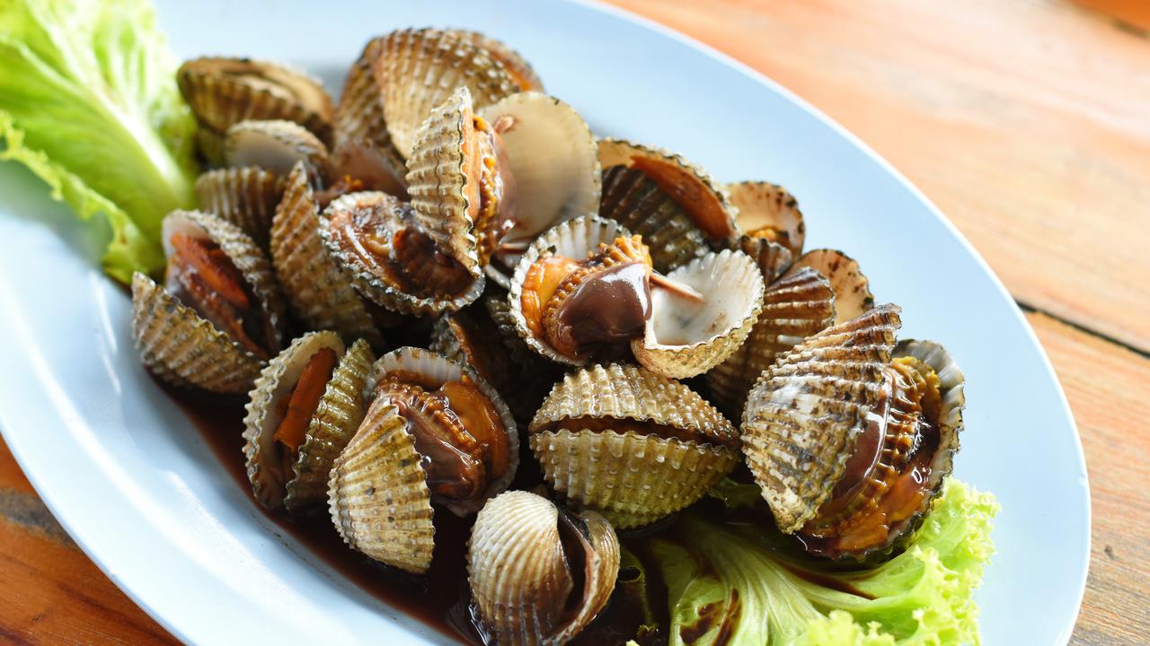 kerang dara
