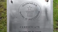 Ilustrasi sertifikat Guinness World Records (wikimedia commons)