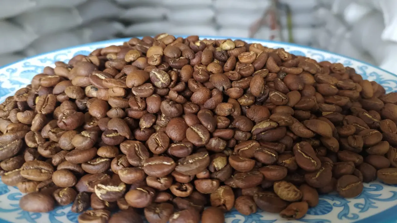 Ratusan ton kopi arabika Garut, Jawa Barat, terlihat masih terongok di salah satu gudang eksportir kopi Garut, akibat lesunya permintaan akibat Covid-19.