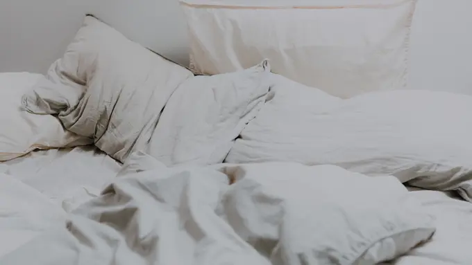 4 Cara HalauPenting, Ini Tips Mendeteksi Kutu Kasur di Kamar Hotel Tungau dari Kasur Tanpa Jasa Profesional