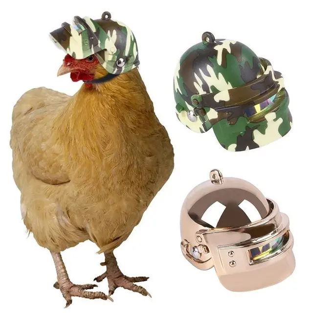 6 Helm untuk Ayam Ini Anti-mainstream, Bikin Ngakak