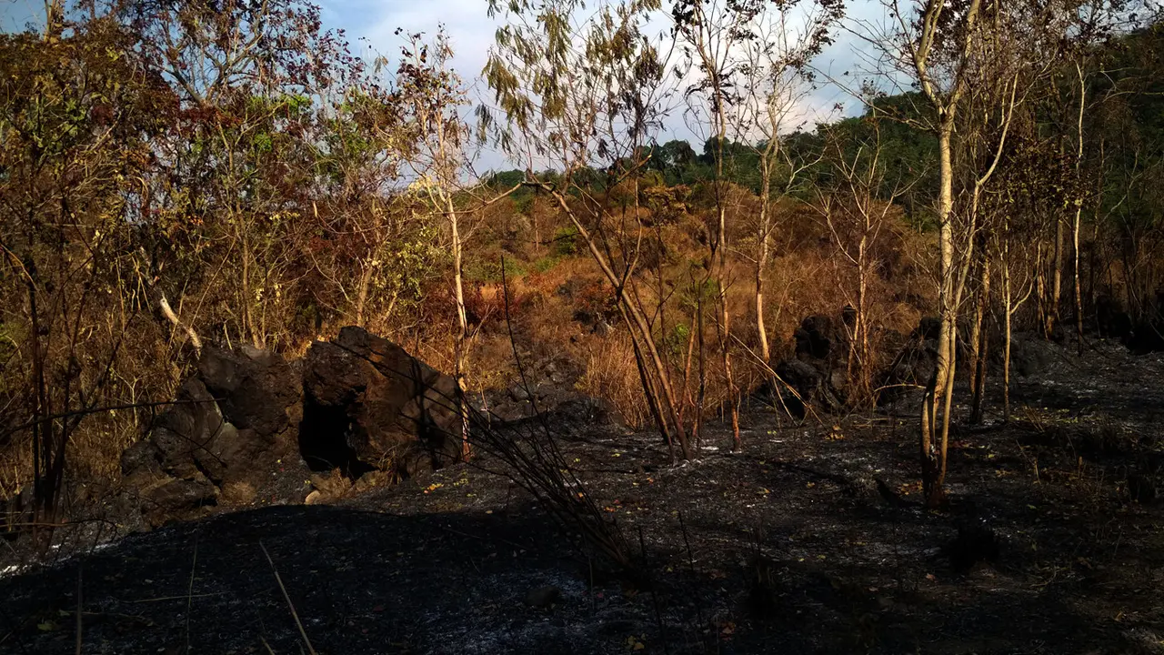 Gunung Ciremai terbakar