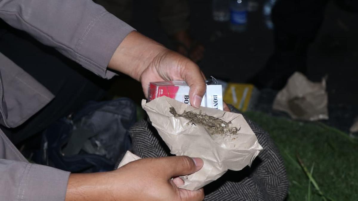 Libur Idul Adha Dimanfaatkan Edarkan Ganja, Pengendara Mio Dibekuk Polisi