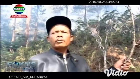 VIDEO: Kebakaran Landa Gunung Semeru dan Arjuno